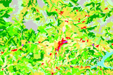 Image d'exemple données complémentaires exclusives