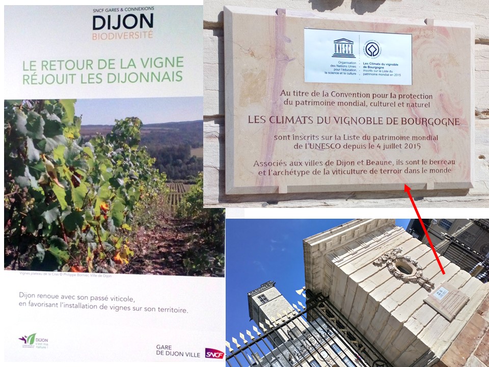 La vigne marqueur territorial de la politique m&eacute;tropolitaine de Dijon.