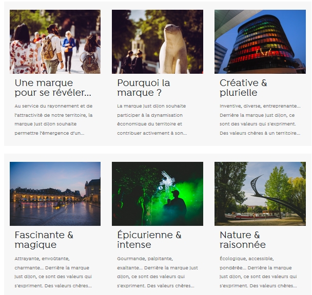 Capture du site internet dédié à la marque teritoriale "Just dijon"